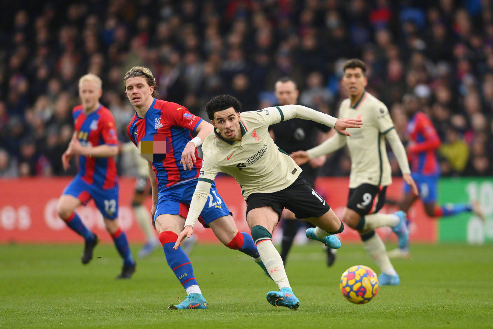 不仅会对勒 不仅会对勒