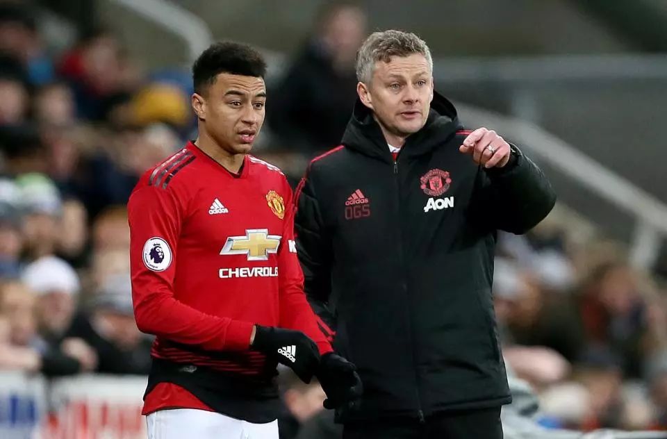 这一案例被 这一案例被